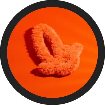 brusjan.no's icon