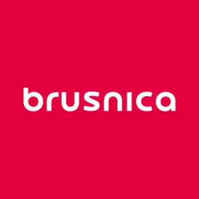 brusnica.eu's icon