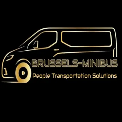 brussels-minibus.be's icon