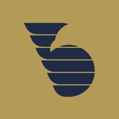 bruvalinvestments.com's icon