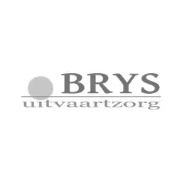 BRYS's icon