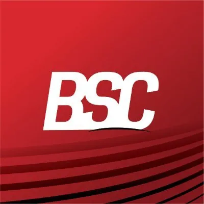 bsc.ro's icon