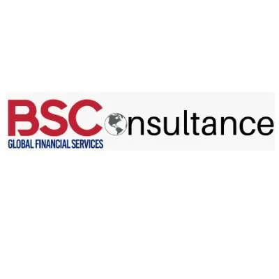 bsconsultance.com's icon