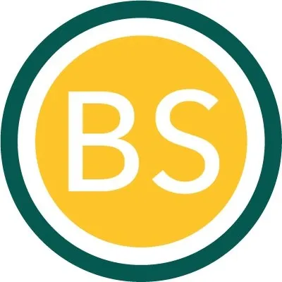 bscout.eu's icon