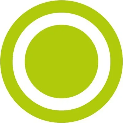 bsginstitute.com's icon