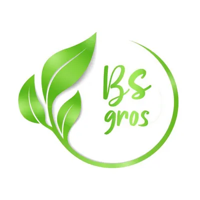 bsgros.com's icon
