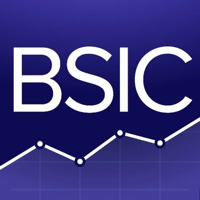 bsic.it's icon