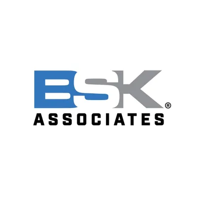 bskassociates.com's icon