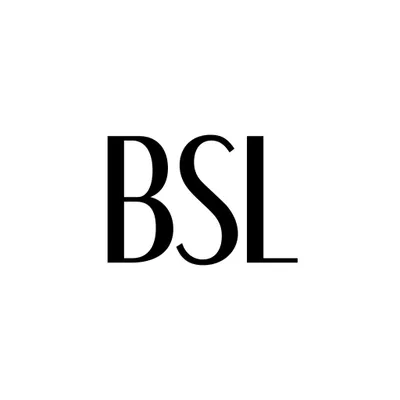 bsl.com.tr's icon