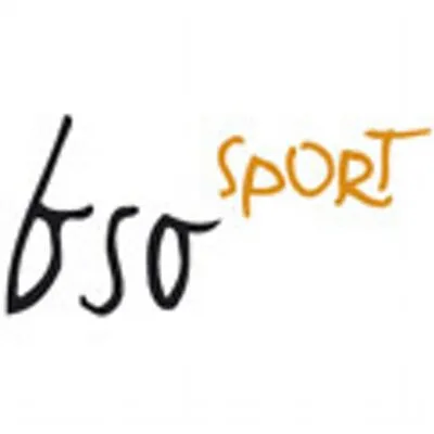 bsosport.nl's icon