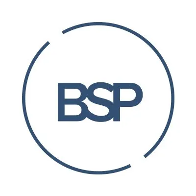 bsp.lu's icon