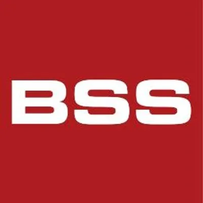 bss.ro's icon