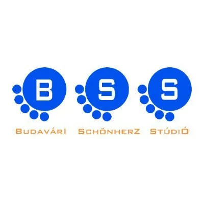 bsstudio.hu's icon