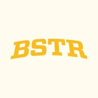 bstr.fi's icon