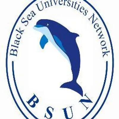 bsun.org's icon