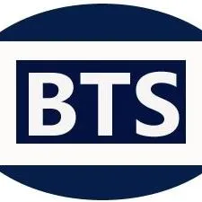 bts-consultants.com's icon