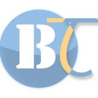 btslipring.com's icon