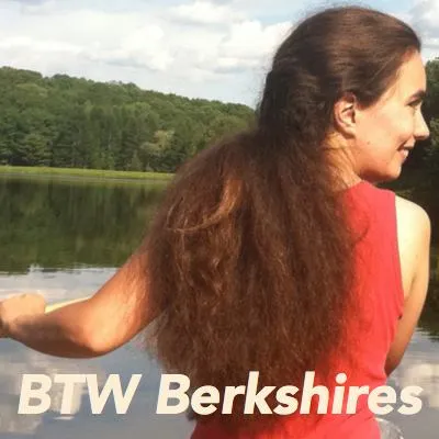 btwberkshires.com's icon