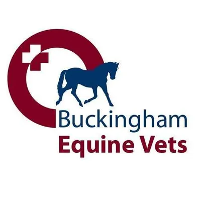 buckinghamequinevets.com's icon
