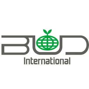 bud-international.co.jp's icon