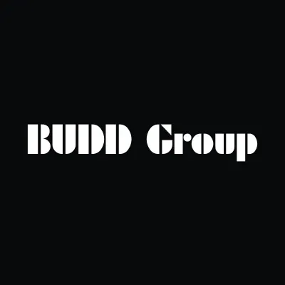 budd-pni.com's icon