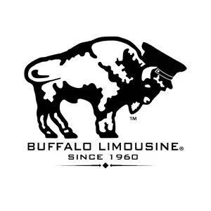 buffalolimousine.com's icon