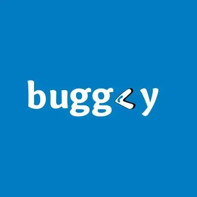 buggcy.com's icon