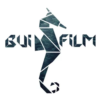 buifilm.com's icon