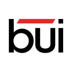 buiusa.com's icon