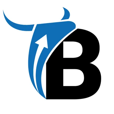 bullfinanzasacademy.com's icon