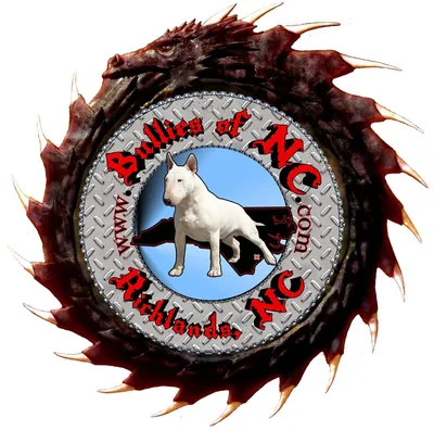 bulliesofnc.com's icon