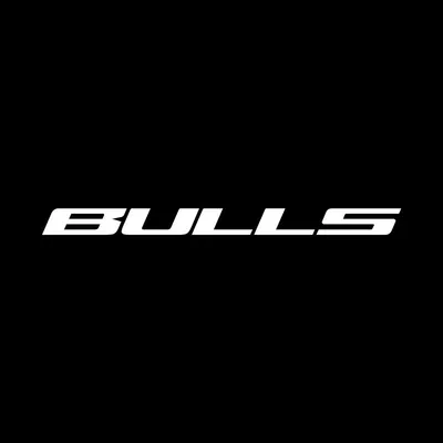 bulls-bikes.com's icon