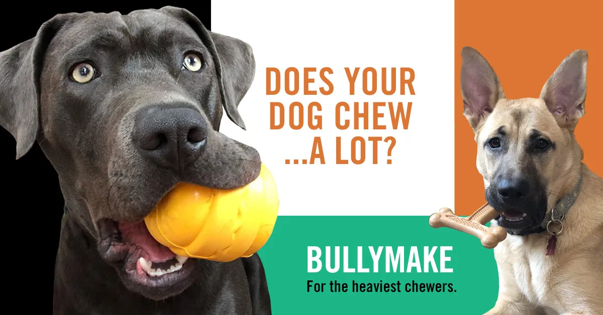 bullymake banner