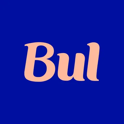 bulstudio.com's icon