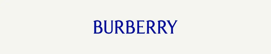 Burberry brand banner