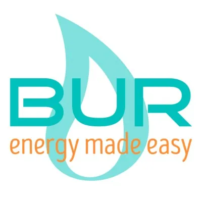 burconsultants.com's icon