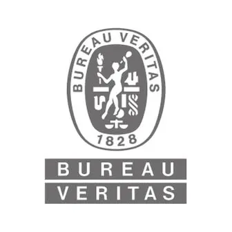 bureauveritas.hu's icon