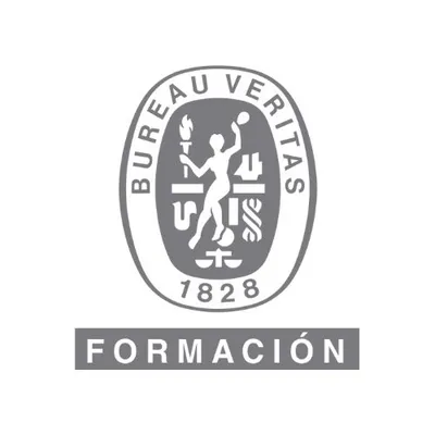 bureauveritasformacion.com's icon