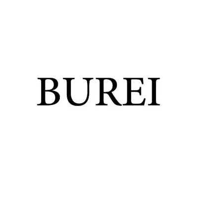 bureiwatches.com's icon