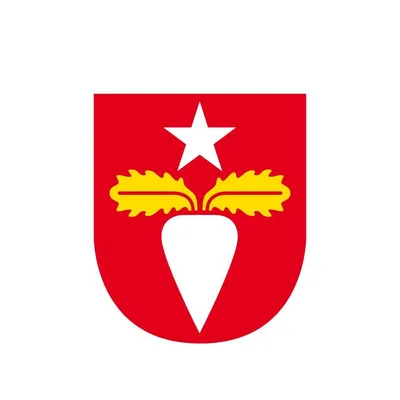 burlov.se's icon