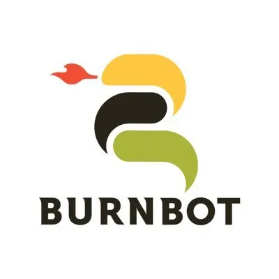 burnbot.com's icon