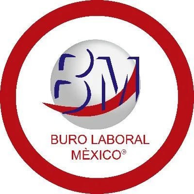 burolaboralmexico.com's icon