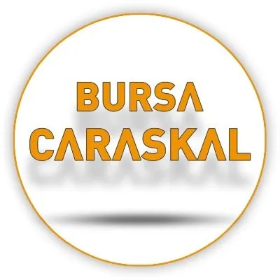 bursacaraskal.com's icon