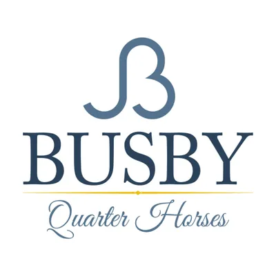 busbyquarterhorses.com's icon