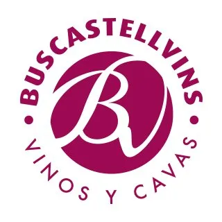 buscastellvins.com's icon