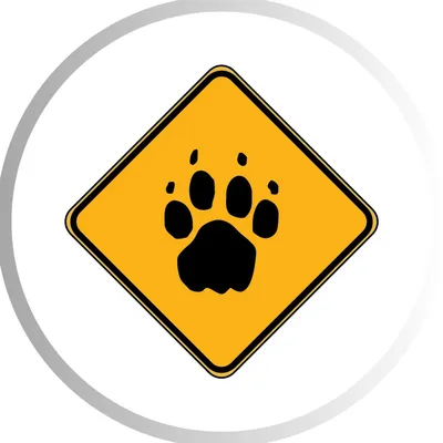 bushlore.com's icon