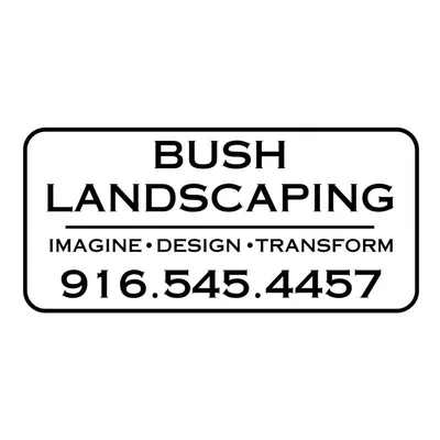bushls.net's icon