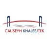 businesscauseway.com's icon