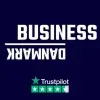 businessdanmark.dk's icon