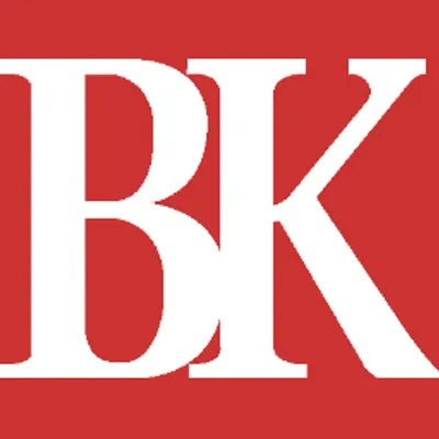 businesskorea.co.kr logo